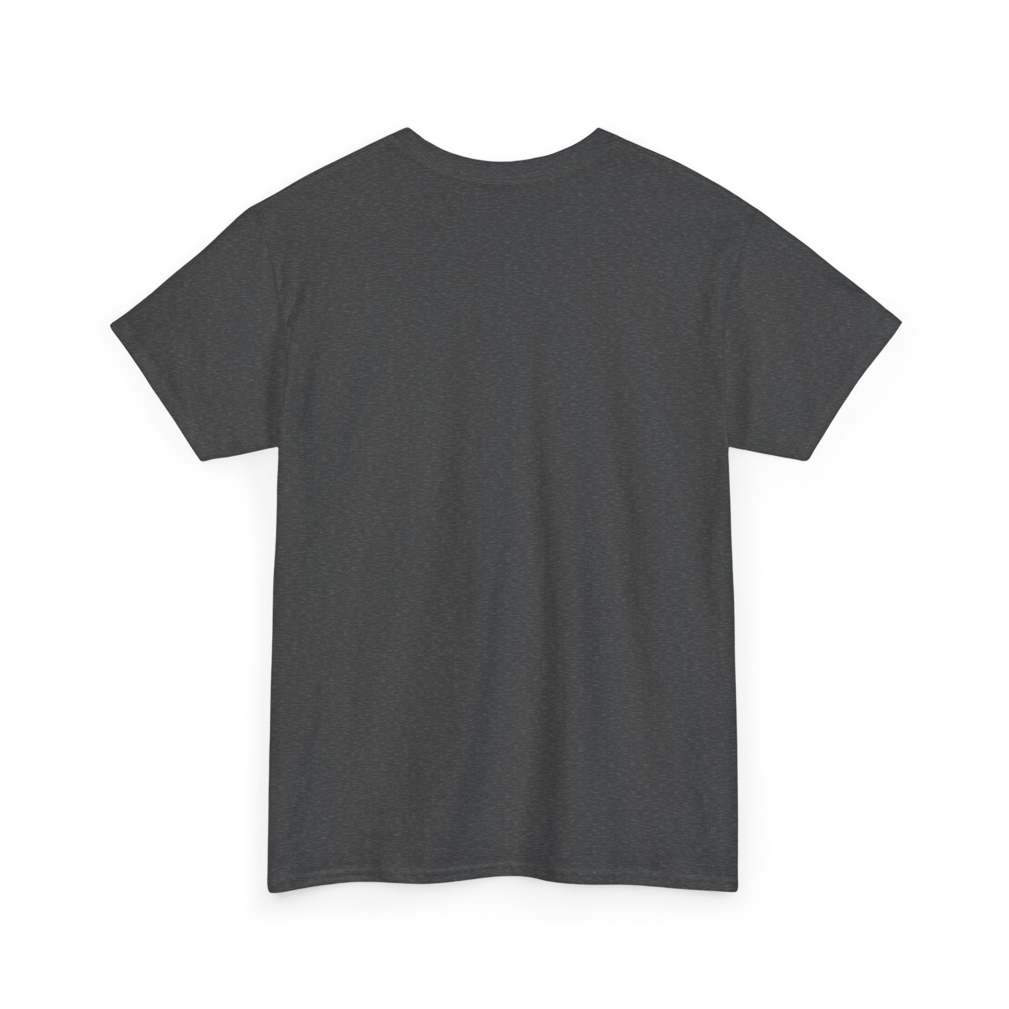 Patriotic Gnome & Horse Tee — "United States of America" Graphic T-Shirt