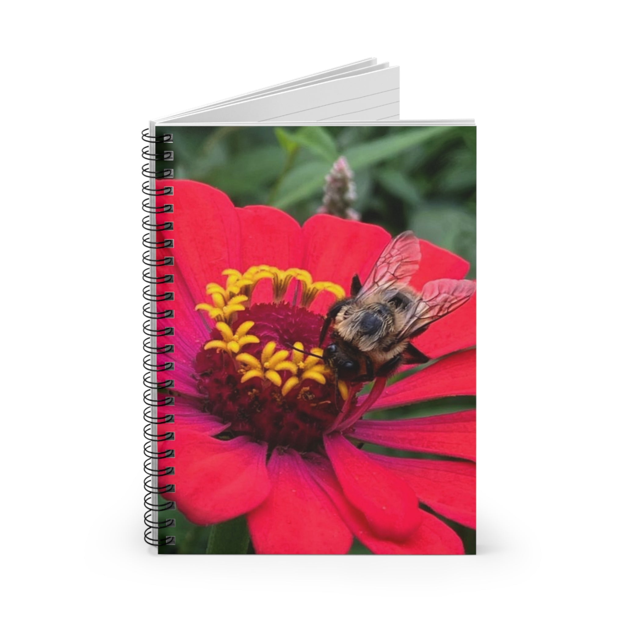Bee on Red Zinnia Spiral Notebook — Ruled Journal for Nature Lovers