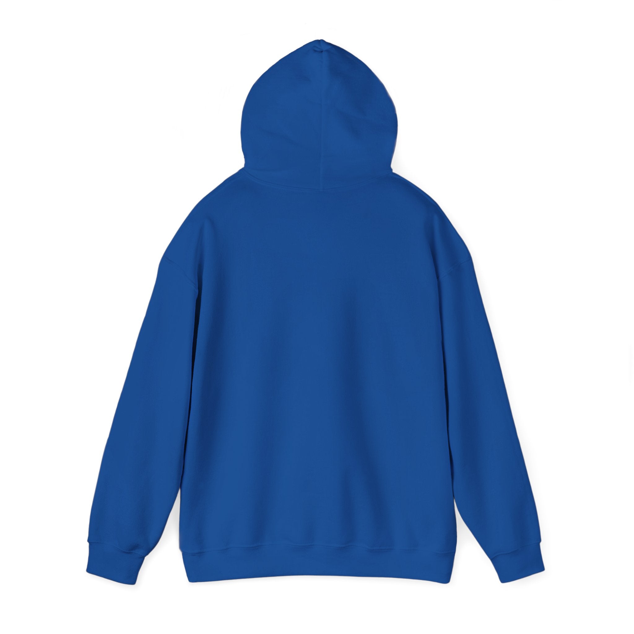 Hoodie — "United States 250th" Colonial Characters Anniversary Pullover
