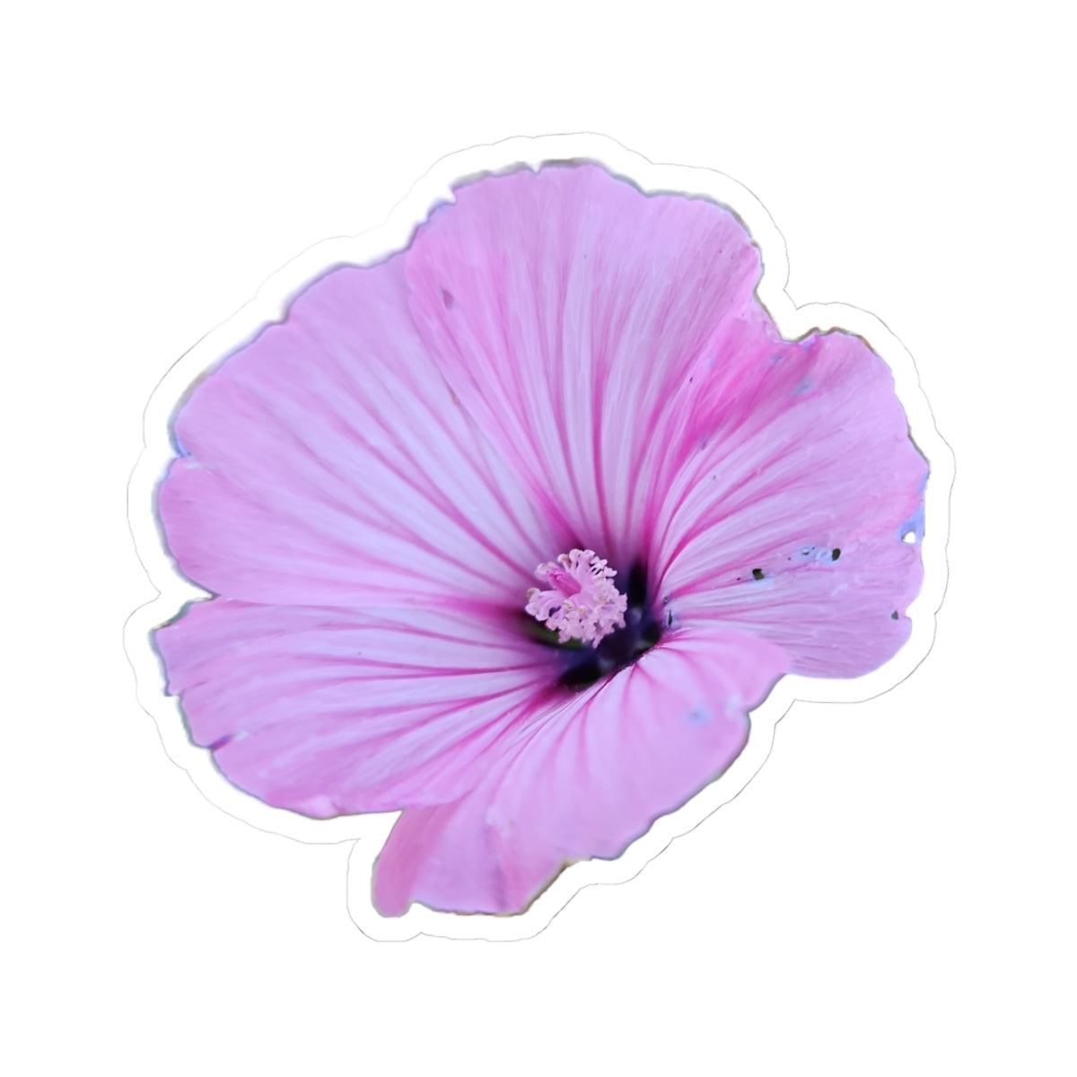 Pink Hibiscus Kiss-Cut Sticker – Floral Laptop & Water Bottle Decal