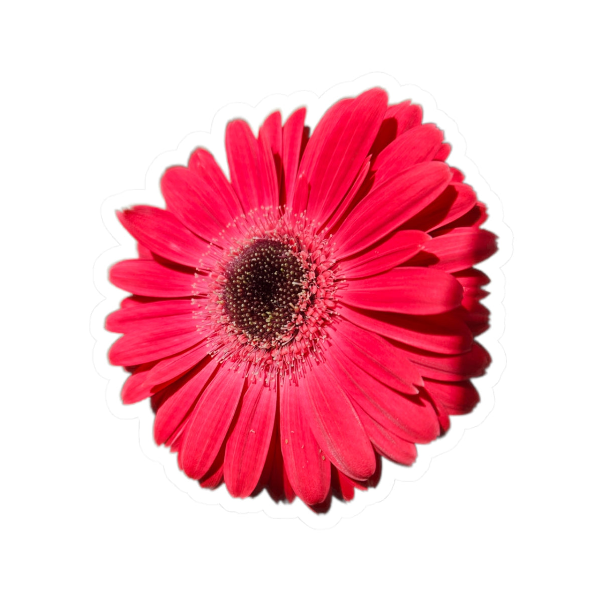 Pink Gerbera Daisy Kiss-Cut Sticker — Floral Laptop & Water Bottle Decal