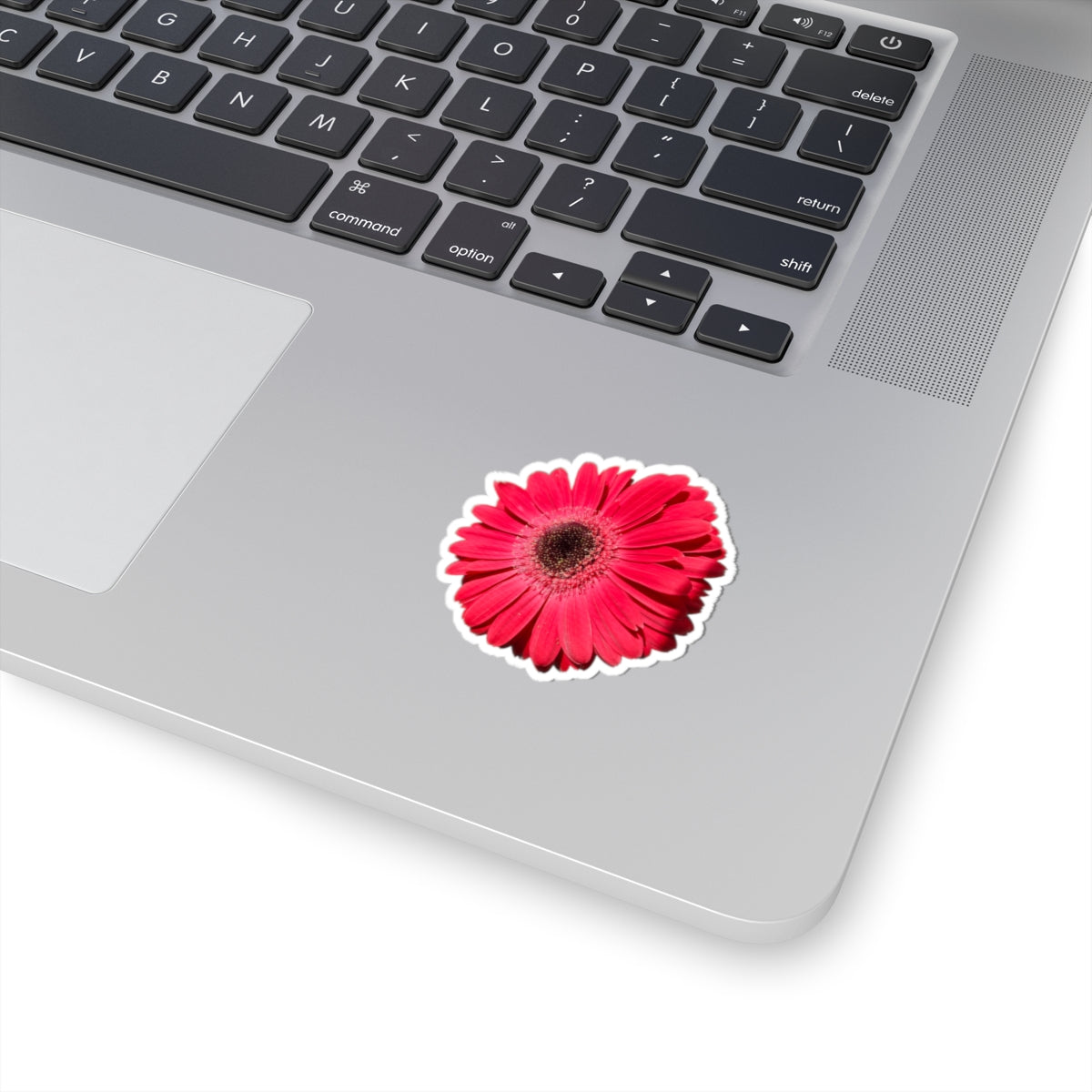 Pink Gerbera Daisy Kiss-Cut Sticker — Floral Laptop & Water Bottle Decal
