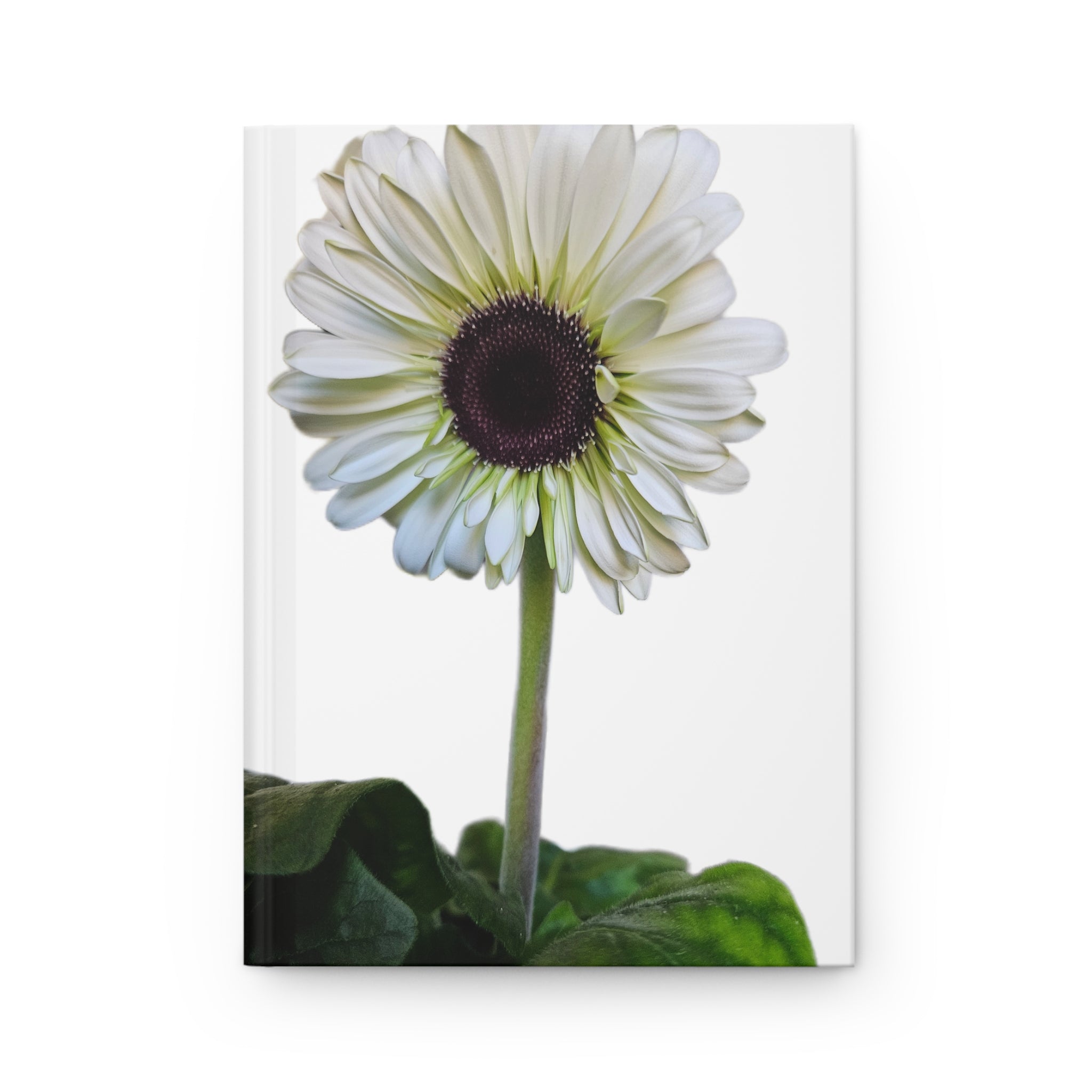 White Gerbera Hardcover Journal — Floral Notebook for Writing & Gratitude