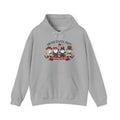 Hoodie — "United States 250th" Colonial Characters Anniversary Pullover