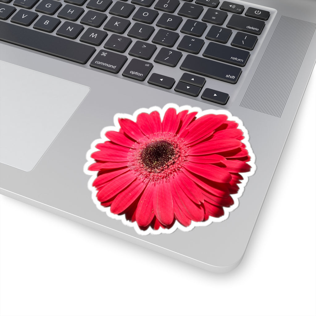 Pink Gerbera Daisy Kiss-Cut Sticker — Floral Laptop & Water Bottle Decal