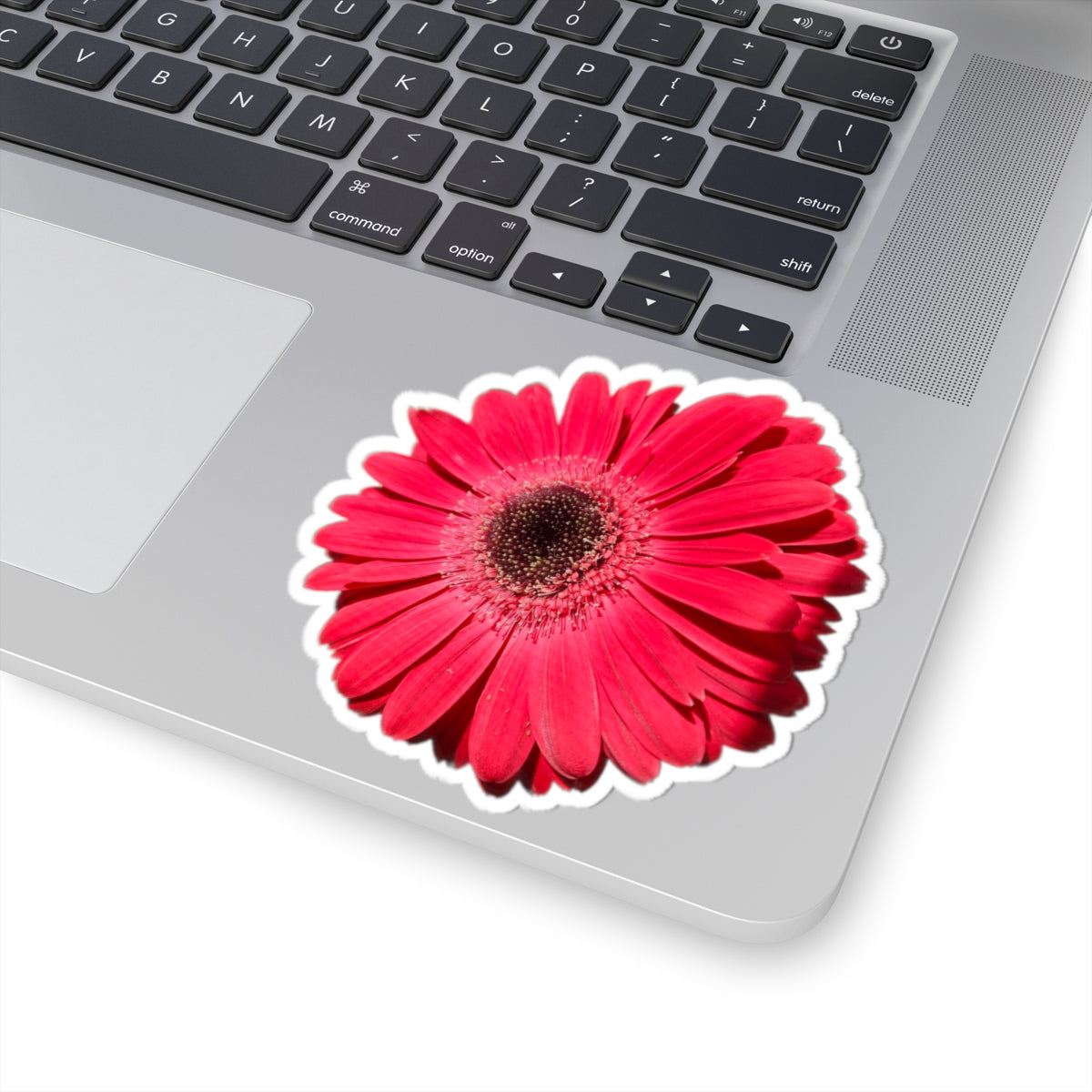Pink Gerbera Daisy Kiss-Cut Sticker — Floral Laptop & Water Bottle Decal
