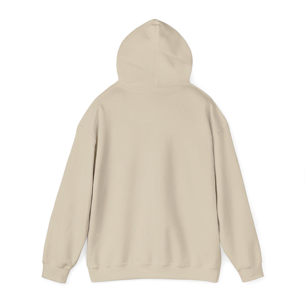 Hoodie — "United States 250th" Colonial Characters Anniversary Pullover