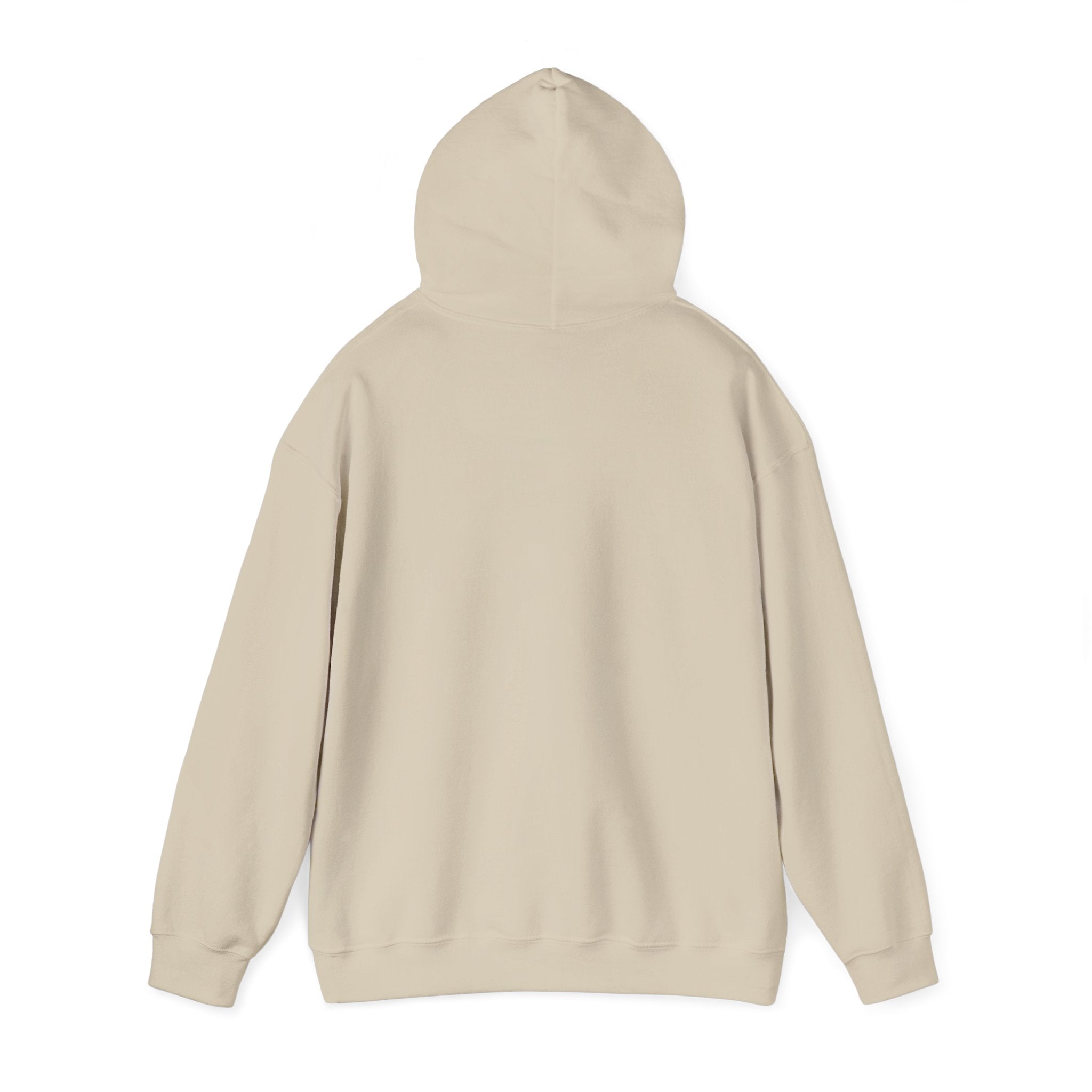 Hoodie — "United States 250th" Colonial Characters Anniversary Pullover